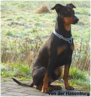 Aljoscha im Herbst 2001