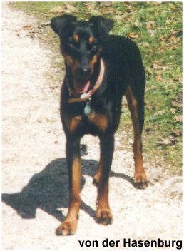 Amigo ist ein gro�er Junge geworden