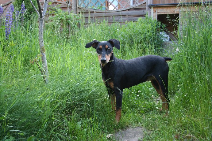 in ewiger Erinnerung