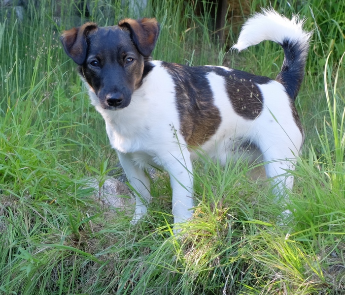 Frodo genau 9 Monate alt