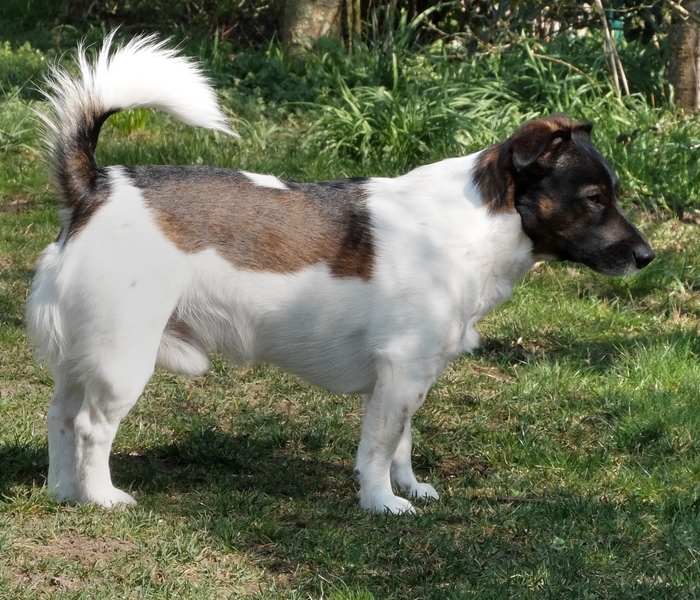 Frodo am 30.M�rz 2019