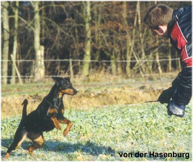 Greta in Action (10 Monate alt)