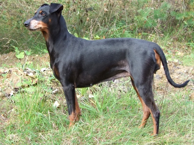 Greta mit 10 Jahren.