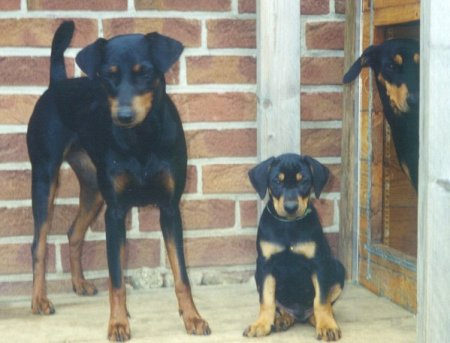 Tante Greta (links) Dexter und Mutter Cora