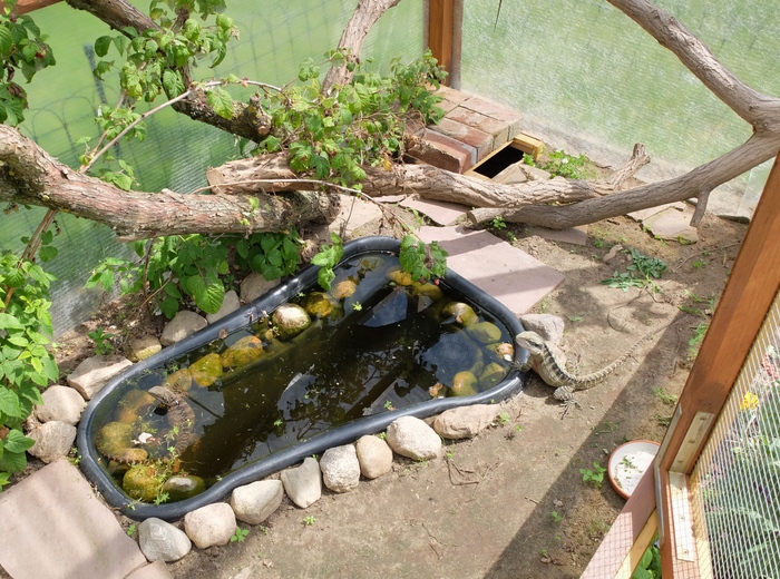 Freilandterrarium - Ausstattung