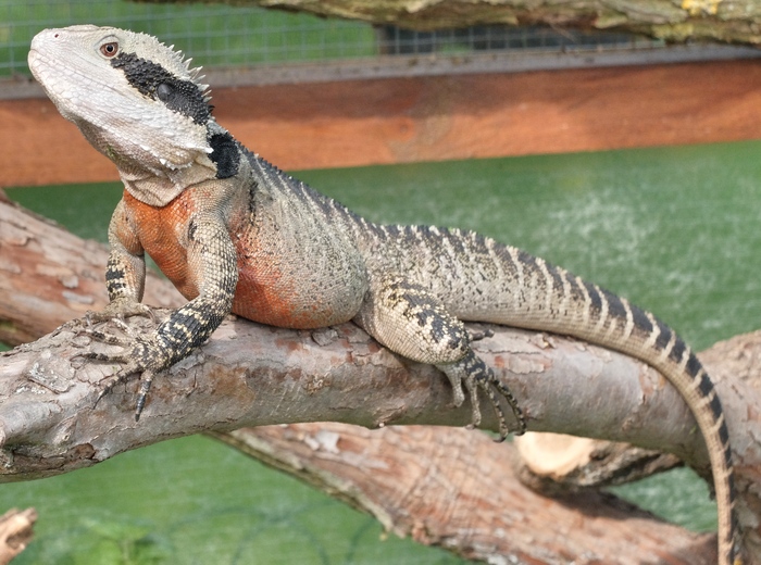 Der neue Mann am 19.07.2017.