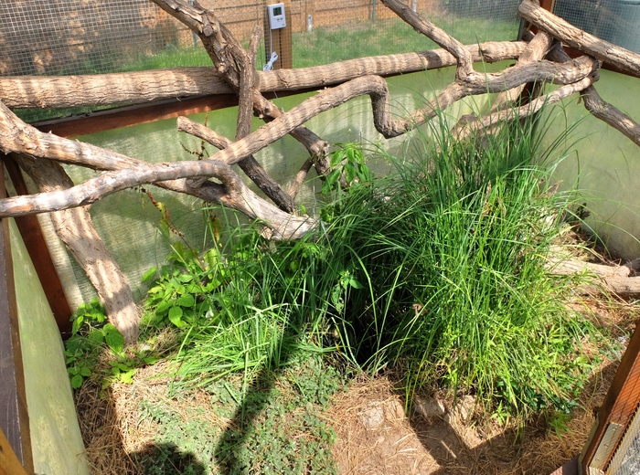 Die gleiche Anlage vier Jahre sp�ter (18.07.2020)