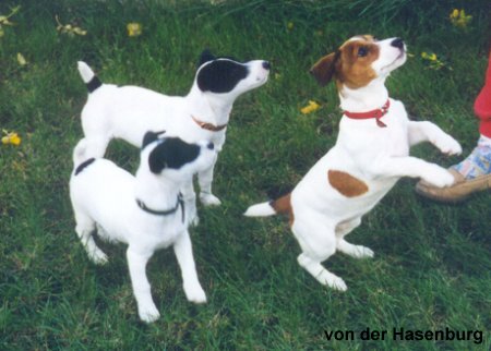 Jacky und Geschwister