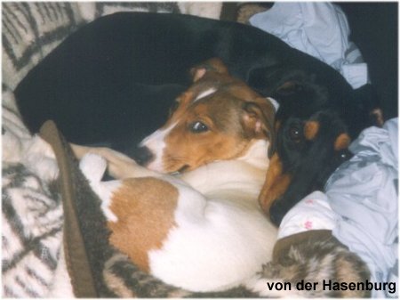 Jacky und Cora