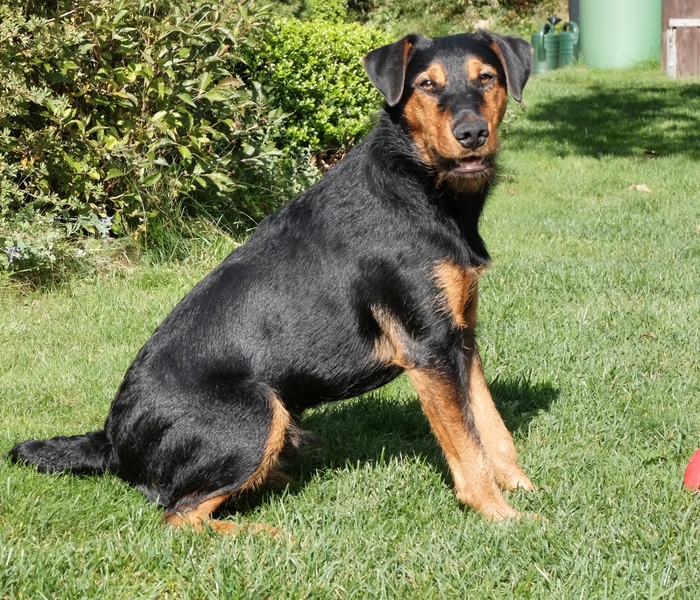 Niko 8 Monate und 9 Tage alt.