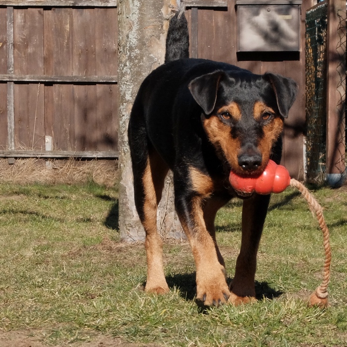 Niko am 24.Februar 2019