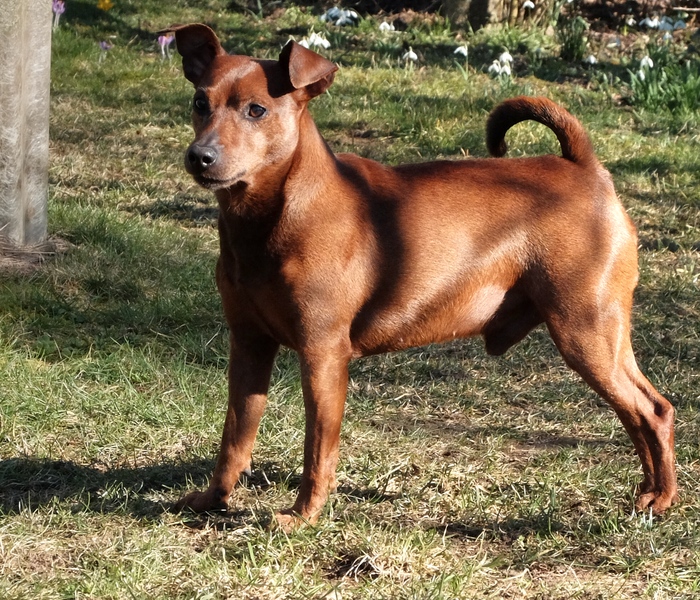 Toni am 24.Februar 2019