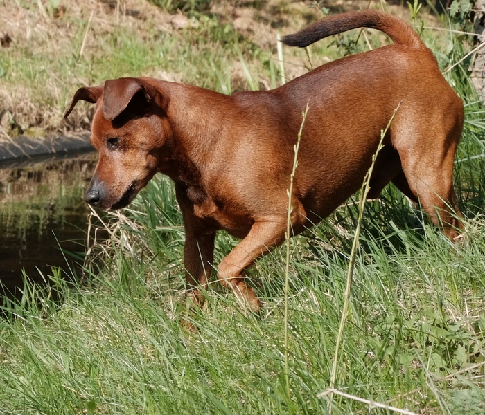 Toni am 30.M�rz 2019