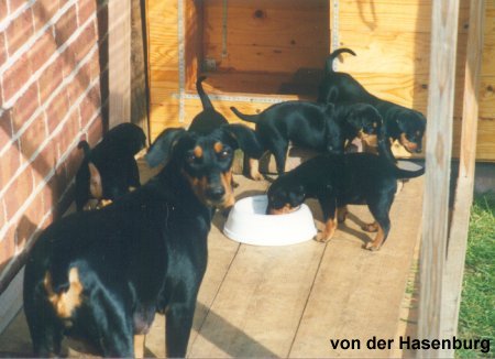 Mutter hat alles im Griff !