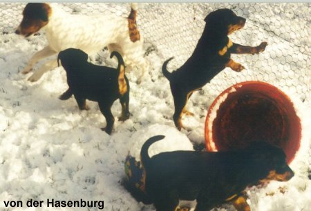 Schnee im April macht Spa� !