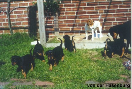 Morgens hat man noch Elan.